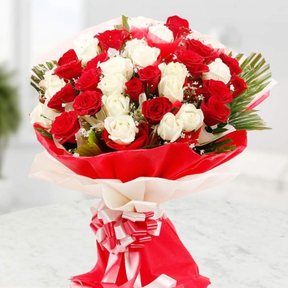 Red and White Roses